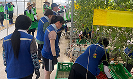 ‘나주시 집중호우 피해지역에 따뜻한 연대 손길’ 콘진원, 폭우 피해 농가 긴급 복구활동 지원 사진