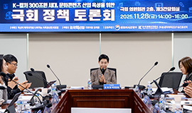 ‘K-컬처 300조원 시대, 문화콘텐츠산업 육성 전략 논의’ 콘진원, 문화콘텐츠산업 육성을 위한 국회 토론회 개최 사진